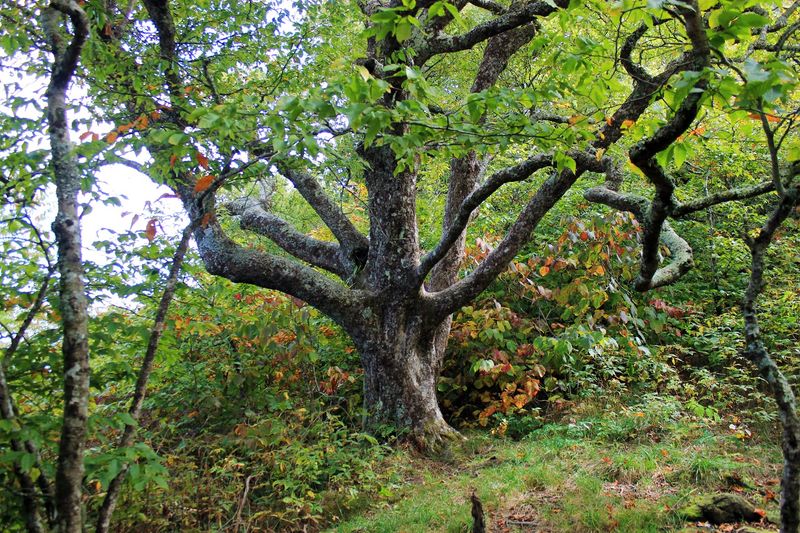 A Place That Inspires Awe and Deep Respect for Nature
