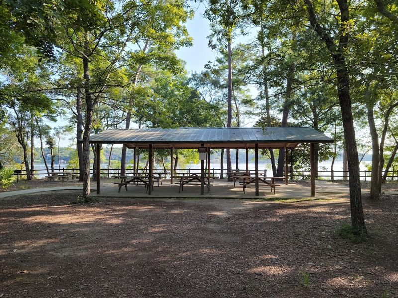 A Playground That Kids Absolutely Love
