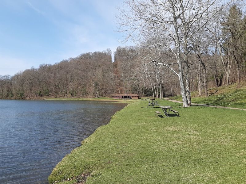 A Quiet Escape From Screens and Everyday Stress