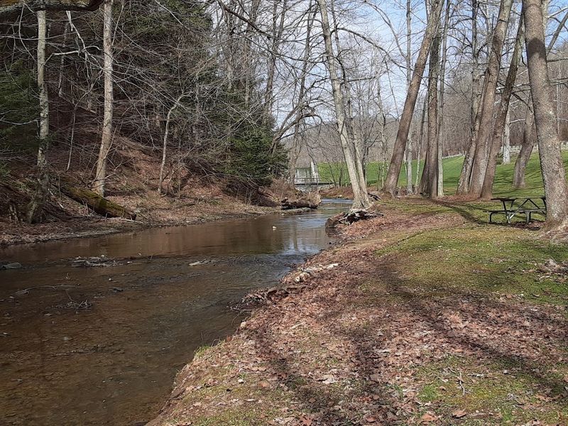 A Quiet Picnic Spot by the Creek Near the Dam