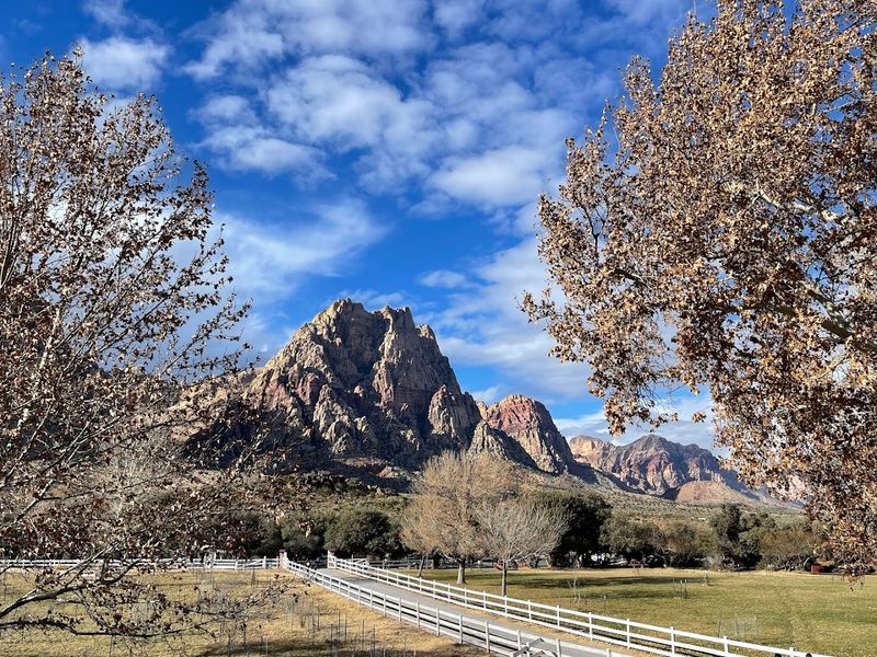 A Refreshing Escape Just Minutes From Las Vegas