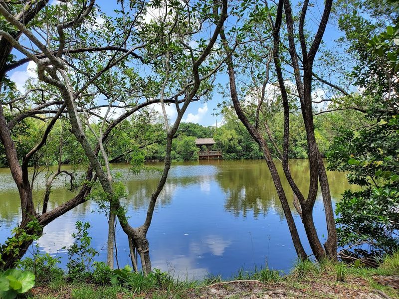 A Romantic Escape Within the City