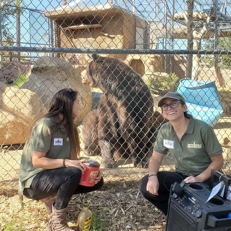 A Sanctuary Built on Rescue and Compassion