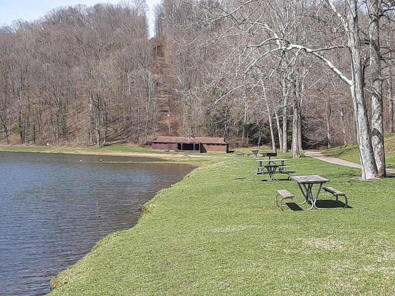 A Sandy Beach Area Perfect for Picnics and Relaxing