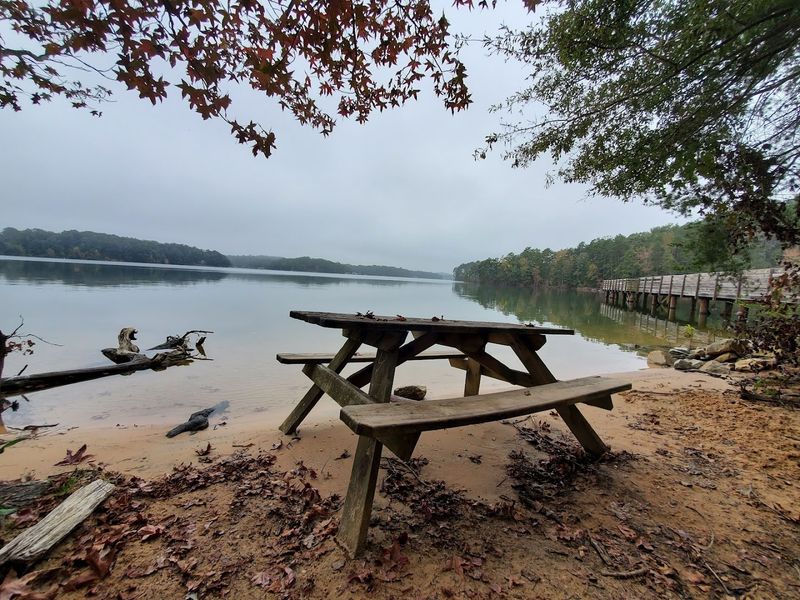 A Sandy Beach Area the Whole Family Will Enjoy