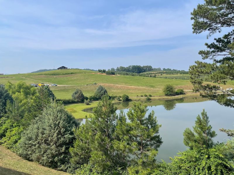 A Scenic Little Lake Perfect for Relaxing After Exploring