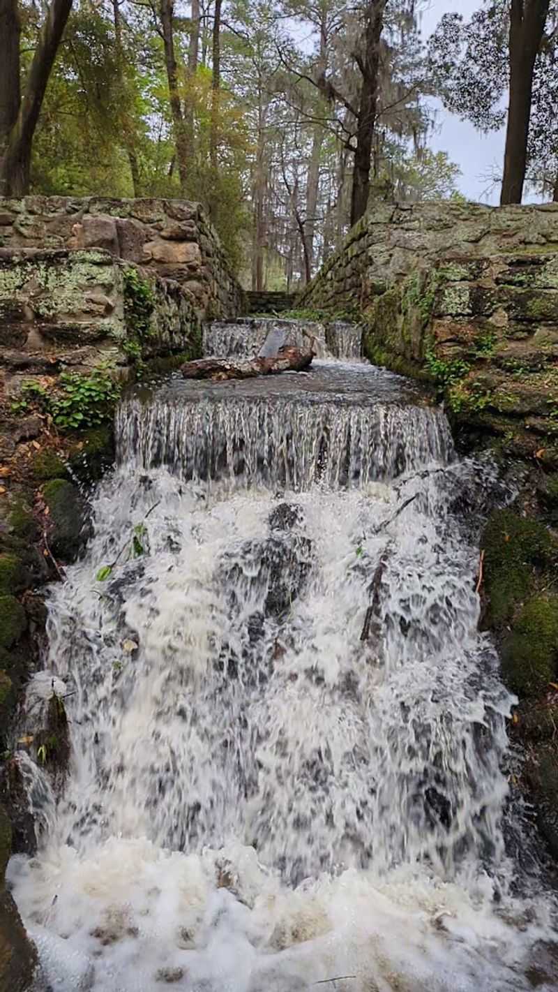 A Scenic Waterfall Hidden in the Forest