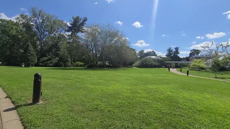 A Serene Escape from City Life