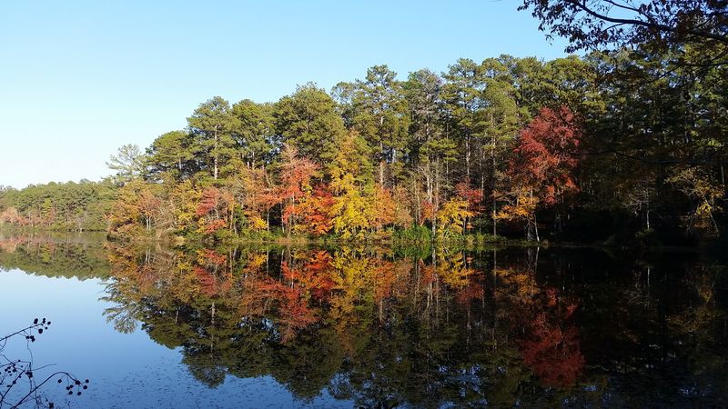A Serene Lake Perfect for Quiet Reflection A Serene Lake Perfect for Quiet Reflection