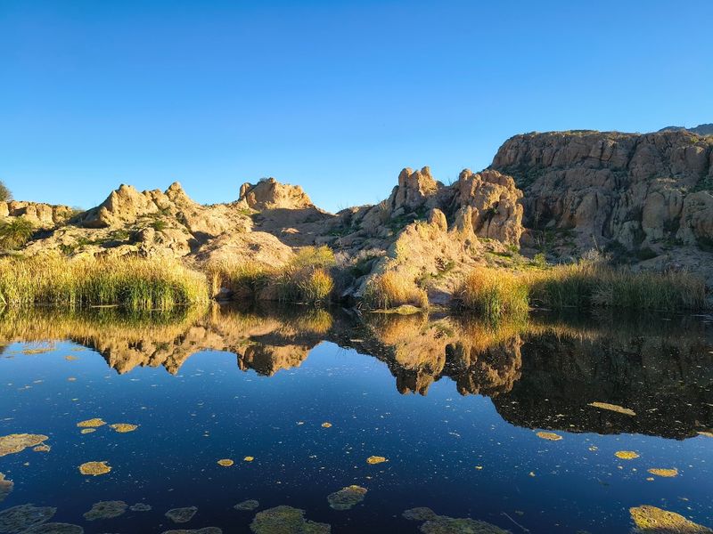 A Shimmering Pond Nestled in the Heart of the Desert
