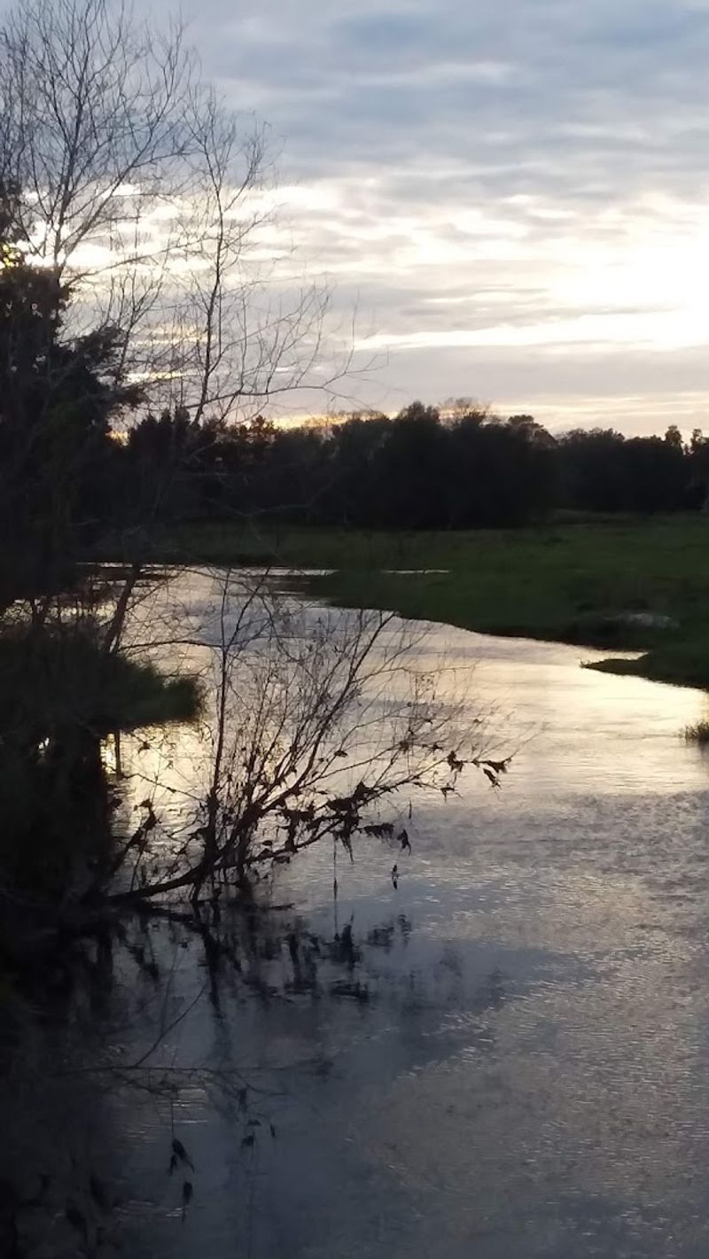 A Slower Pace of Life That Actually Reduces Stress