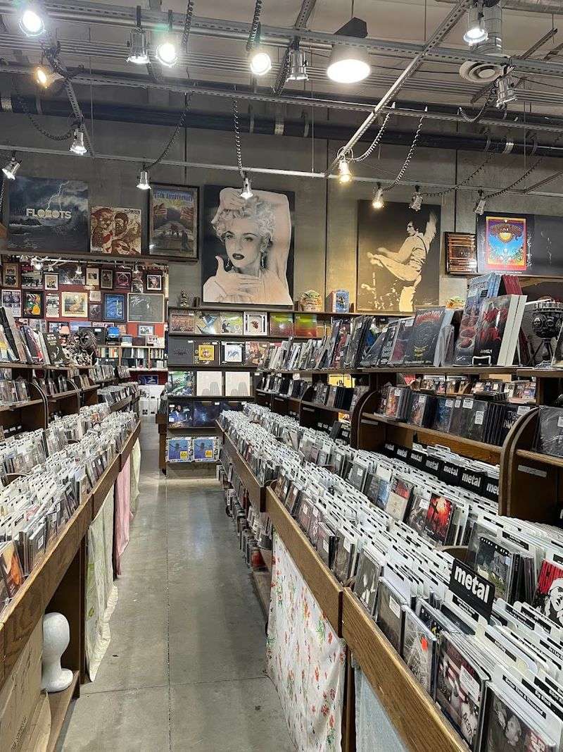A Spotlight on Local Denver Musicians