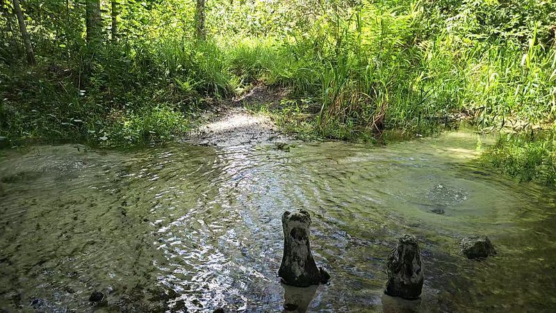 A Spring-Fed Stream With Sand as Fine as Clearwater Beach