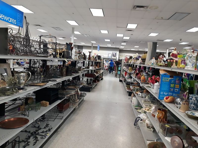 A Store So Big It Feels Like Its Own World
