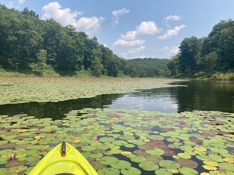 A Stunning 160-Acre Lake That Feels Like Your Own Private Getaway A Stunning 160-Acre Lake That Feels Like Your Own Private Getaway
