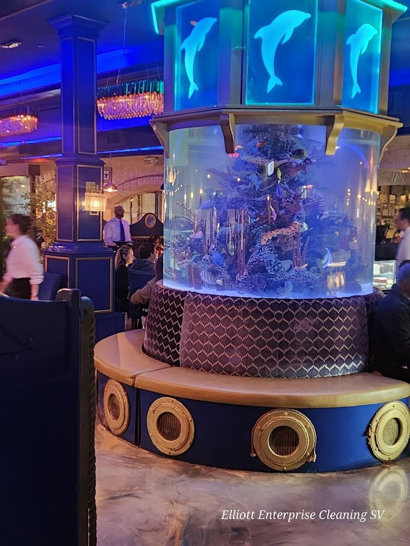 A Stunning Aquarium That Steals the Show