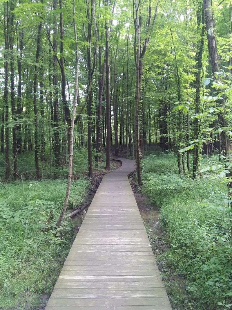 A Surprisingly Flat and Family-Friendly Trail Layout A Surprisingly Flat and Family-Friendly Trail Layout