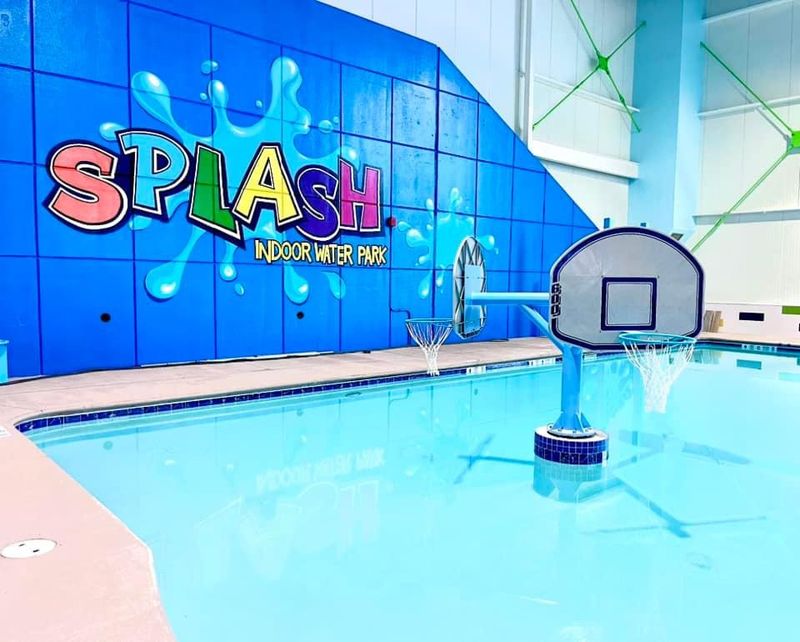 A Swimming Pool With a Basketball Hoop in the Middle