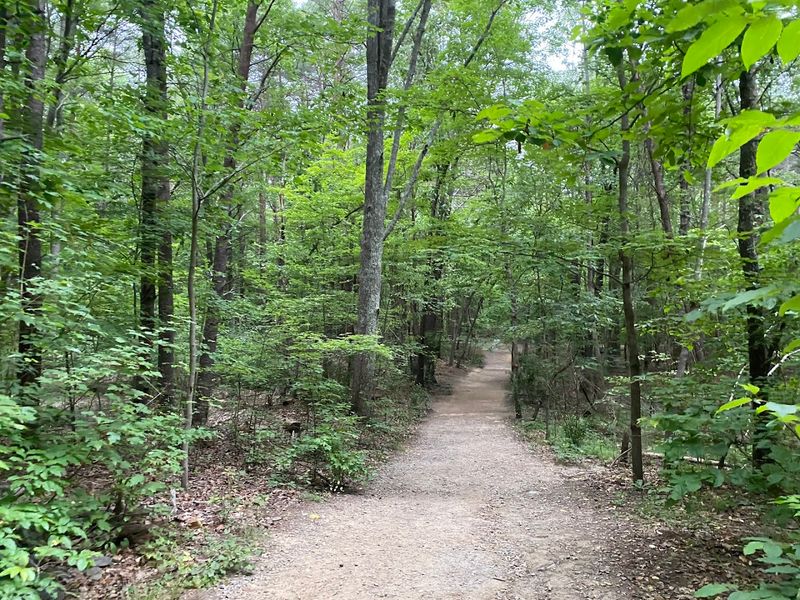 A Trail System Built for Every Skill Level