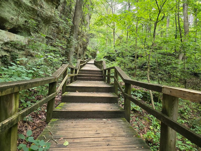 A Trail System That Welcomes Every Kind of Hiker