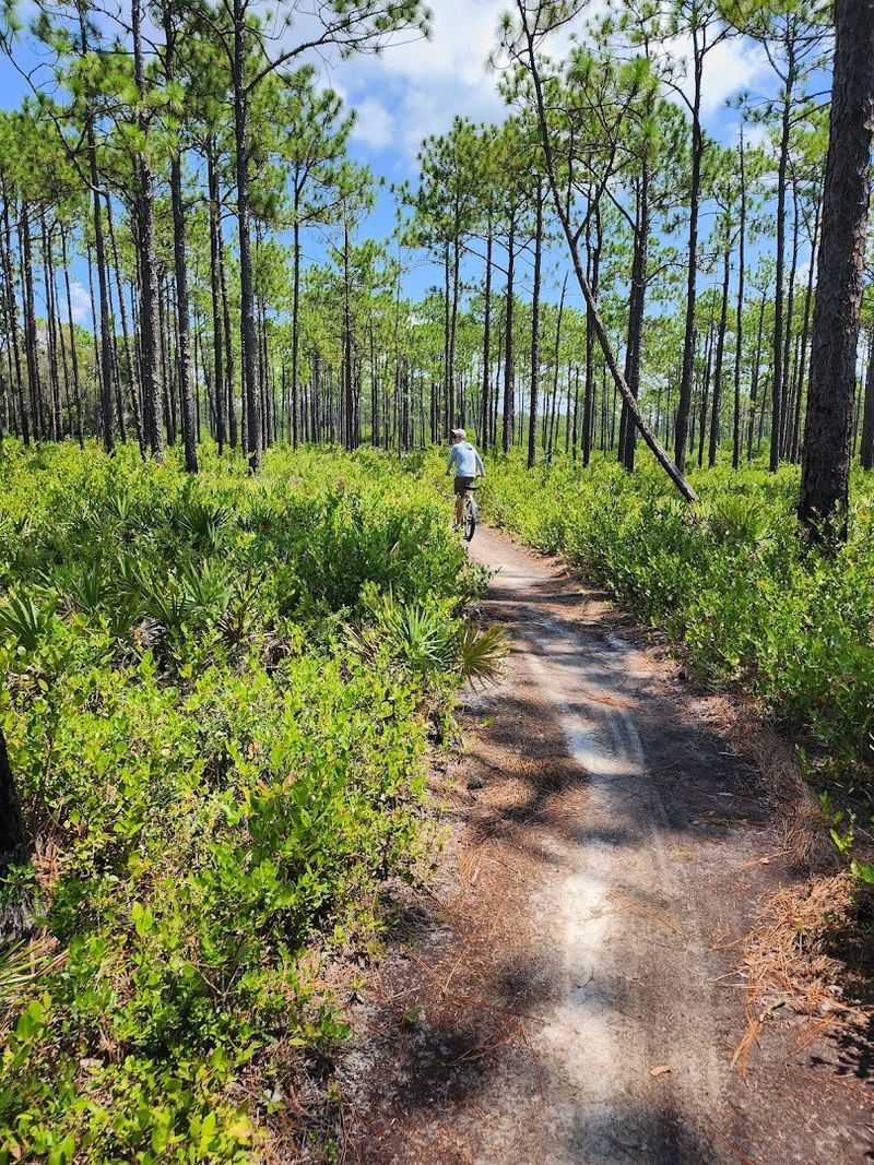 A Trail That Surprises Everyone Who Shows Up A Trail That Surprises Everyone Who Shows Up