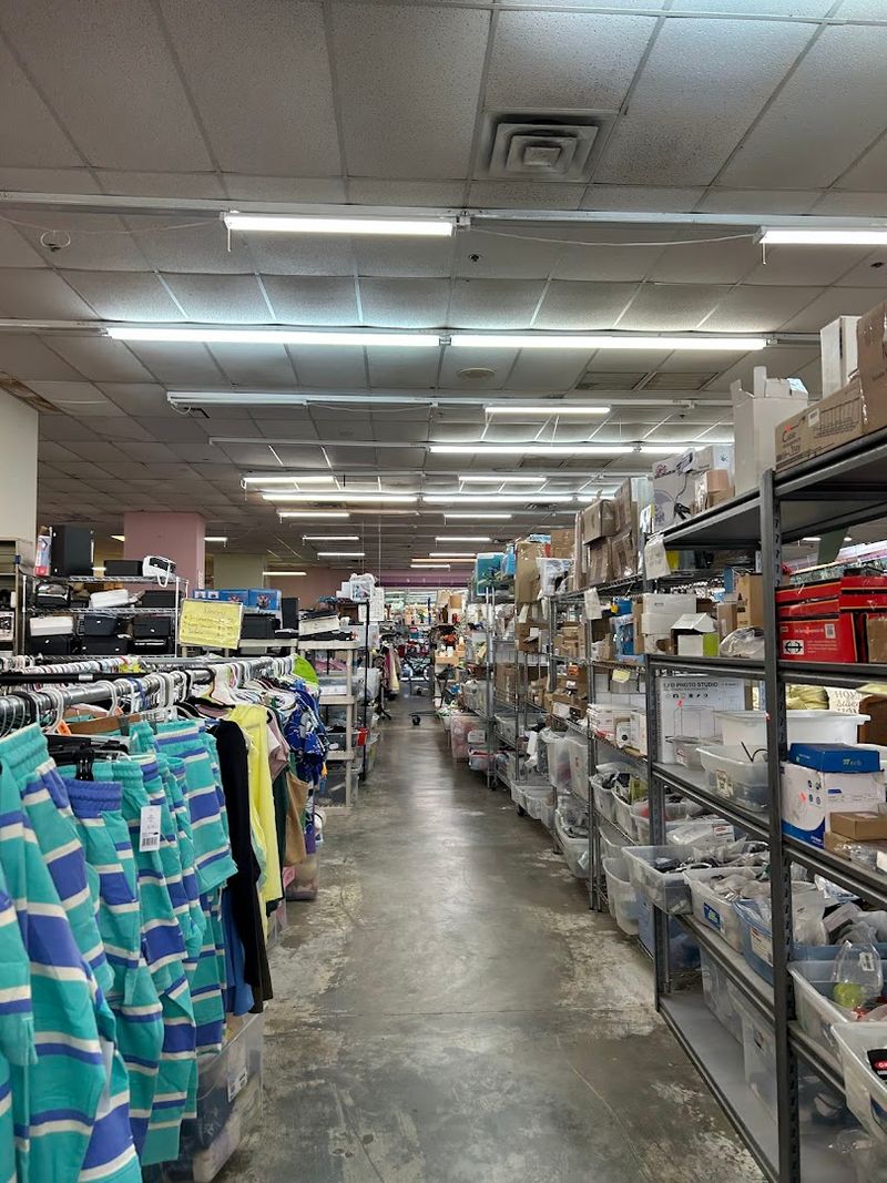 A Treasure Hunter's Paradise Packed With Bulk Auction Finds