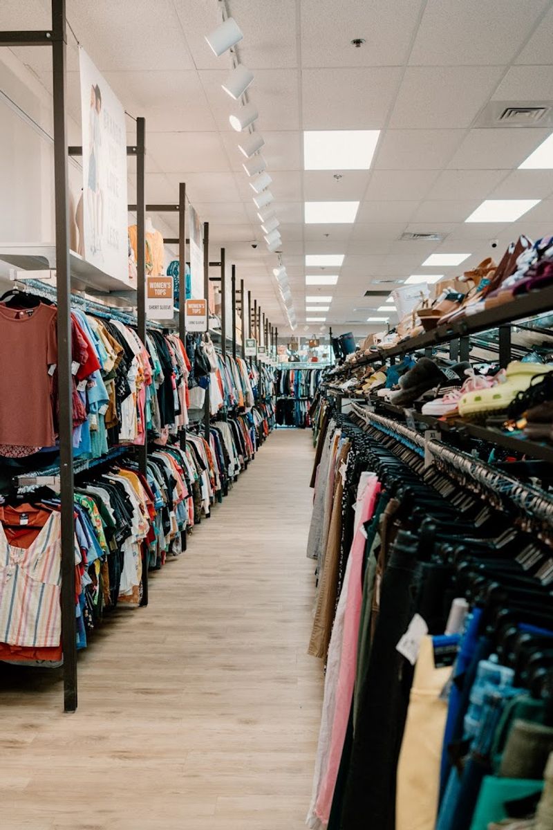 A Treasure Hunter's Paradise Right in Brandon, FL