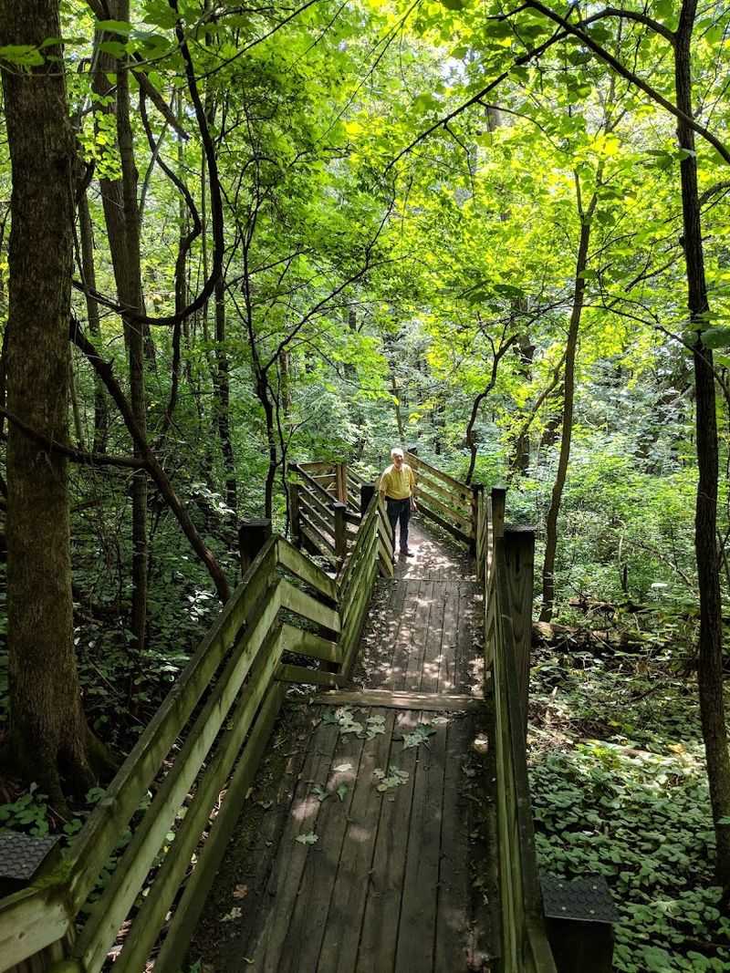 A Tree Identification Area That Doubles as a Classroom