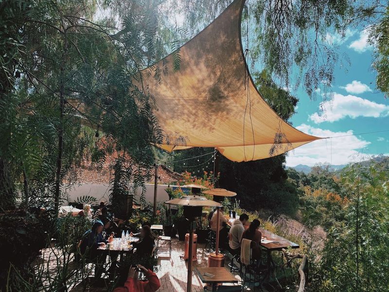 A Treehouse-Like Atmosphere That Feels Like Pure Magic