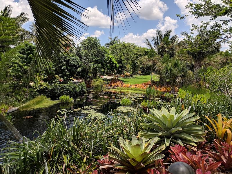 A Tropical Plant Collection Unlike Anything You Have Seen Before