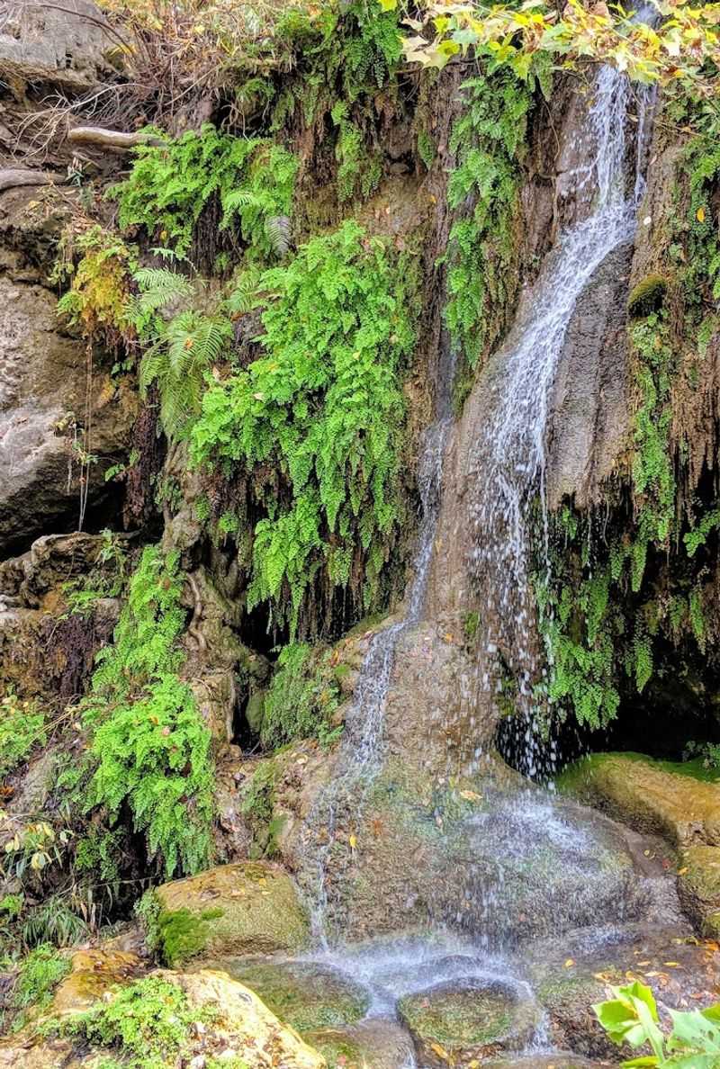 A Waterfall Straight Out of a Rainforest Painting