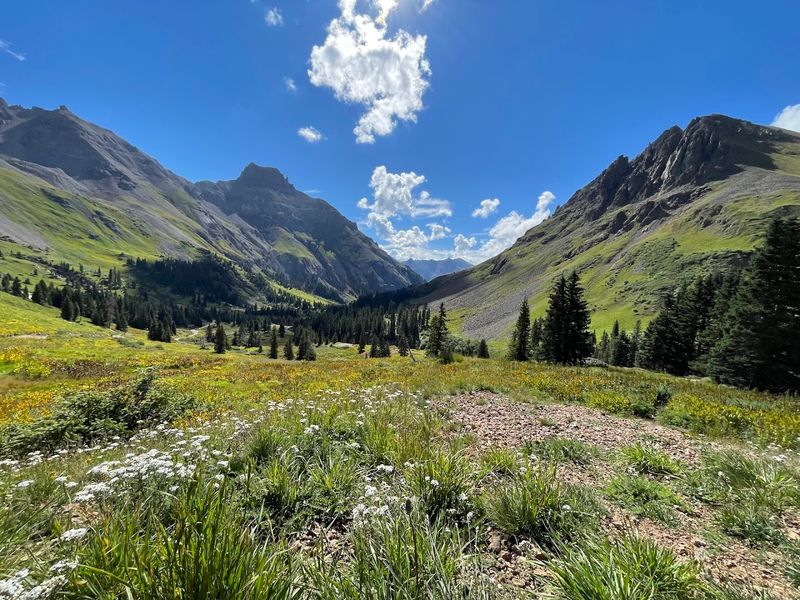 A Wildflower Wonderland That Rivals Any Fairy Tale Garden