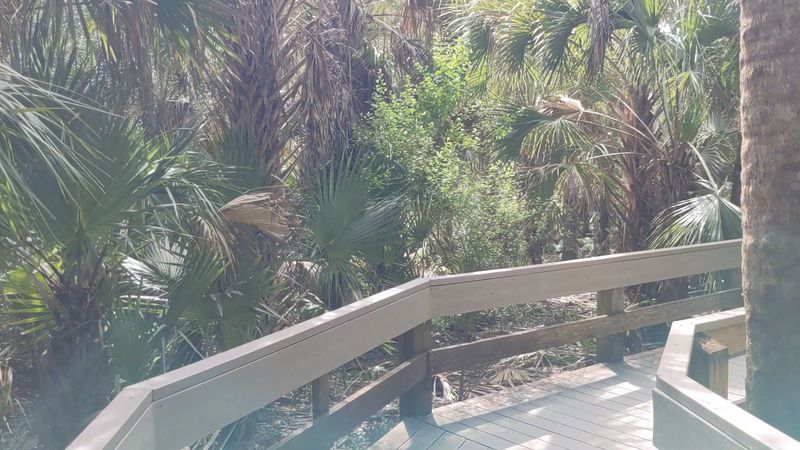 A Wildlife Footprint Sandbox That Kids Go Crazy For A Wildlife Footprint Sandbox That Kids Go Crazy For