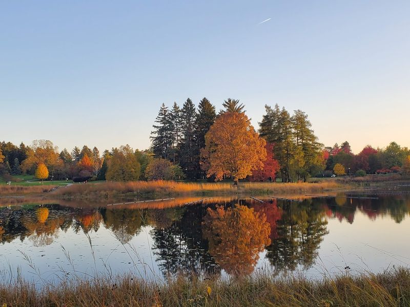 A World-Class Tree Collection Spanning Every Continent