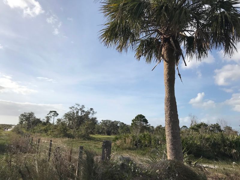 Access to Nature Trails and Green Spaces
