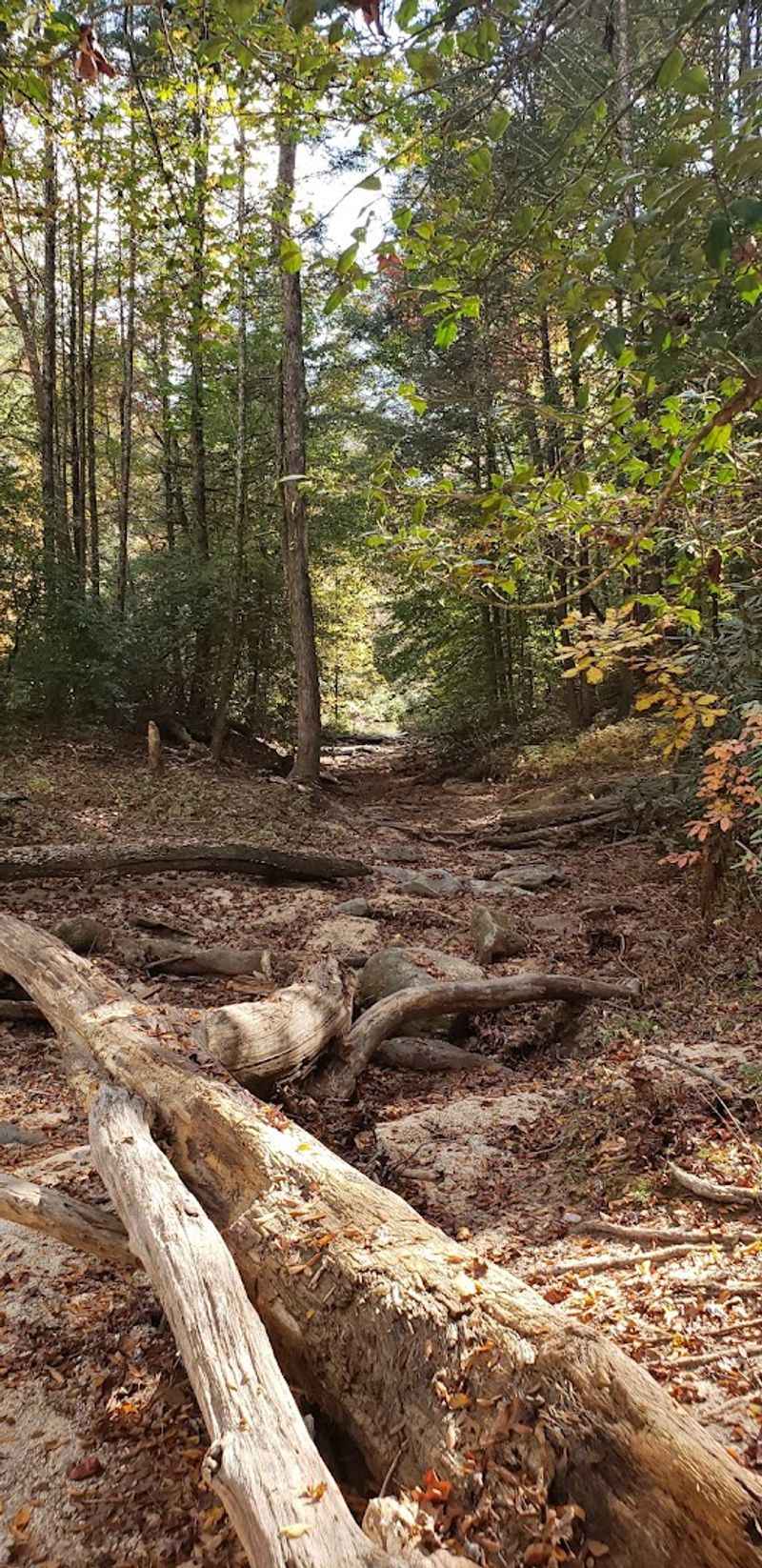 Accessibility Considerations: Who Can Handle This Hike?