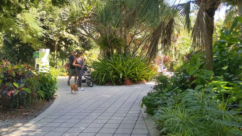 Accessibility Features That Make the Garden Welcoming for Everyone