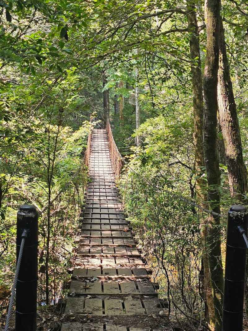 Accessibility Options: Scenic Beauty for Every Ability Level