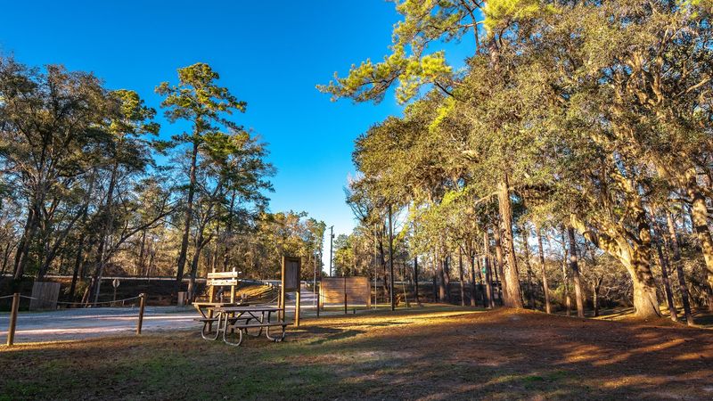 Affordable Admission That Makes It Accessible for Everyone