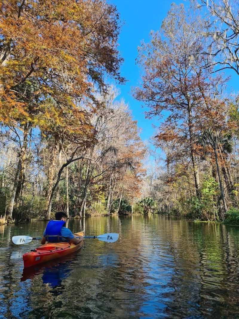 Affordable Admission That Packs in Real Value