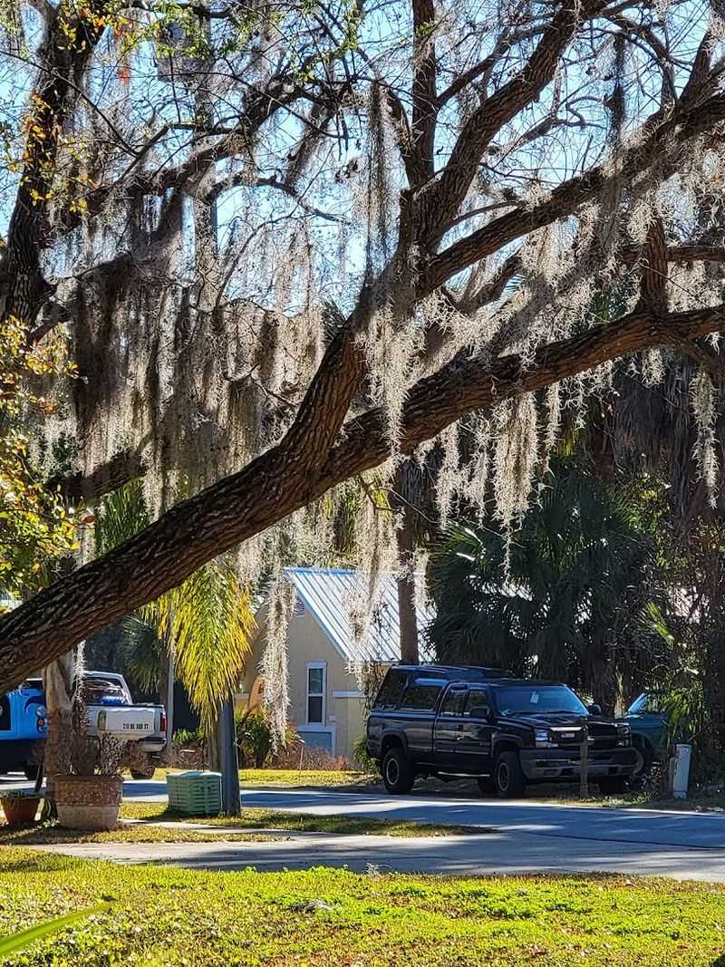 Affordable Rent That Actually Makes Sense