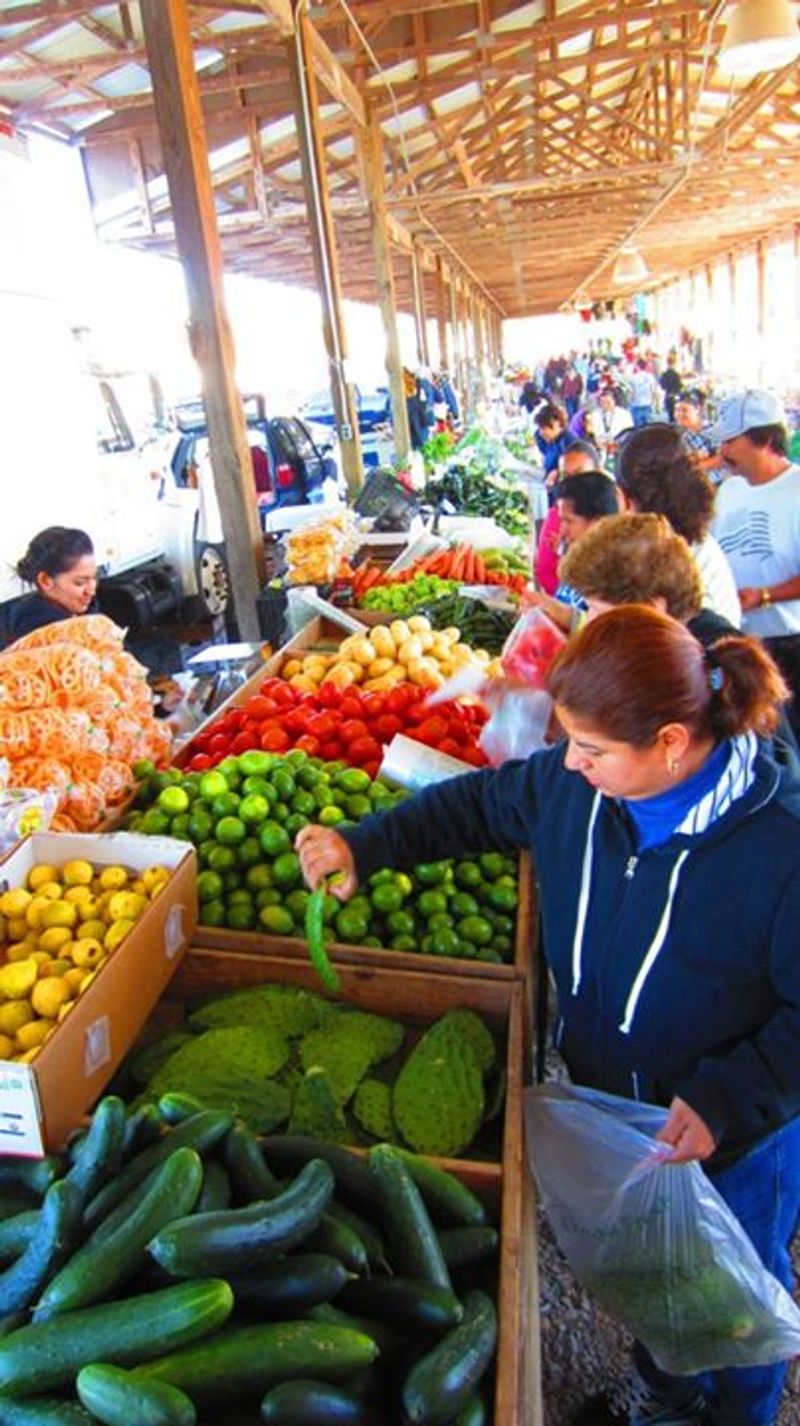 Amazing Food Options That Fuel the Fun Amazing Food Options That Fuel the Fun