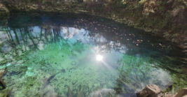 An Enchanting Swimming Hole Is Hidden Inside This Underrated Florida State Park