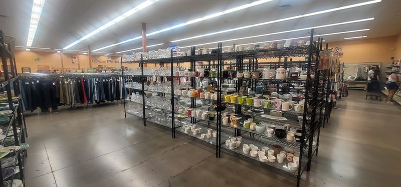 An Ever-Rotating Inventory That Keeps Every Visit Fresh
