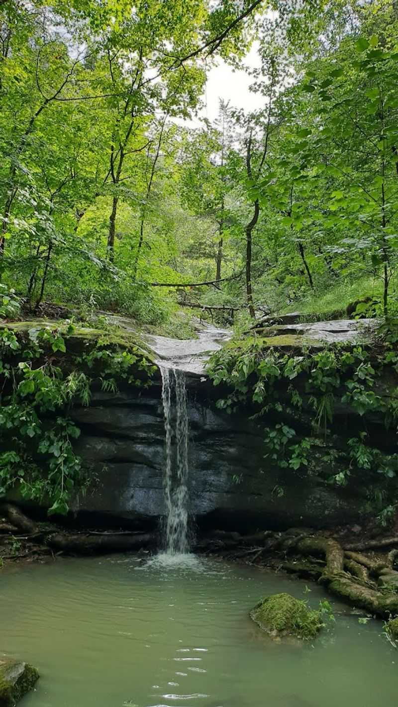 An Underrated Gem That Keeps Visitors Coming Back for More