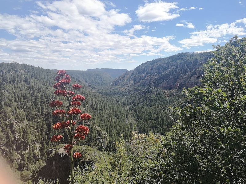 An Unforgettable Stop Between Sedona and Flagstaff on AZ-89A