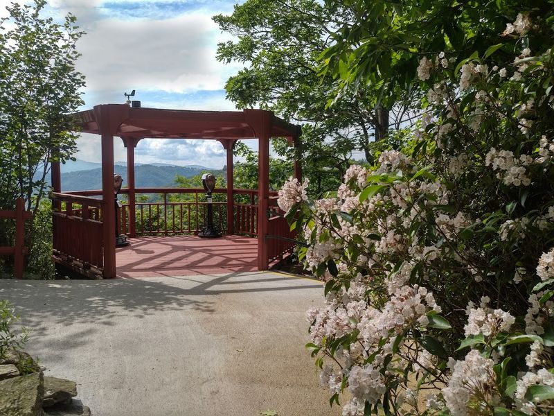 Annie Cannon Gardens