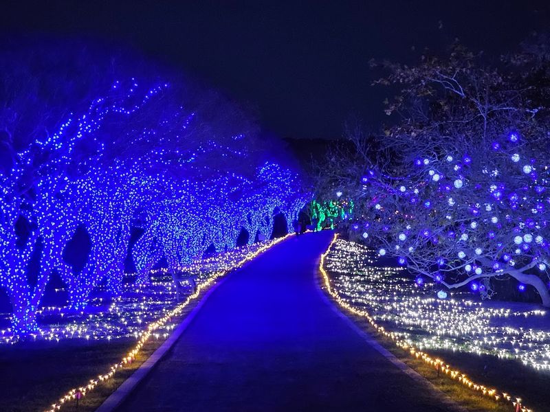 Annual Membership Perks That Make Every Return Visit Worth It