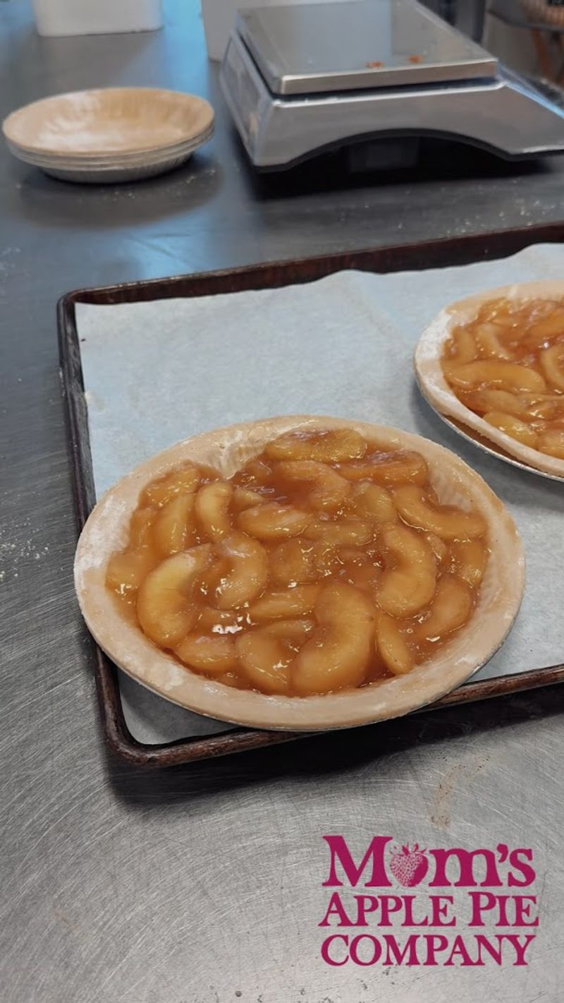 Apple Pie Warm From the Oven