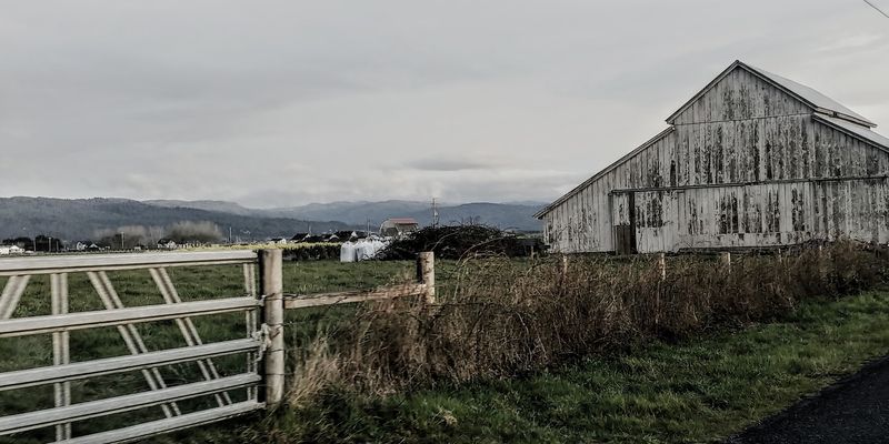 Arcata Bottom and Jacoby Creek